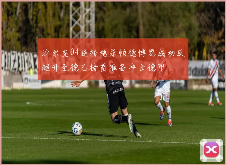 沙尔克04逆转绝杀帕德博恩成功反超升至德乙榜首准备冲击德甲