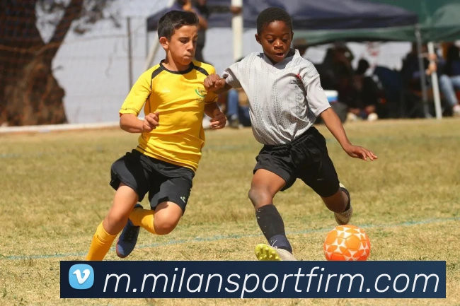 米兰体育APP 封面图